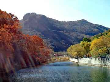 新澳天天开奖资料大全旅游团，黑基论坛